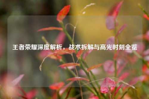 王者荣耀深度解析，战术拆解与高光时刻全览