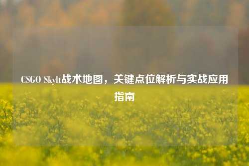 CSGO Skylt战术地图，关键点位解析与实战应用指南