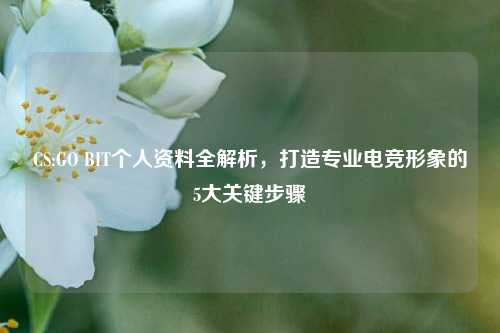 CS:GO BIT个人资料全解析，打造专业电竞形象的5大关键步骤