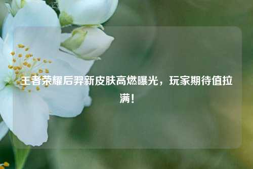 王者荣耀后羿新皮肤高燃曝光，玩家期待值拉满！