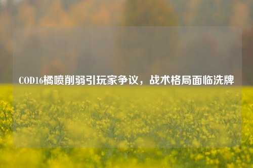 COD16橘喷削弱引玩家争议,战术格局面临洗牌