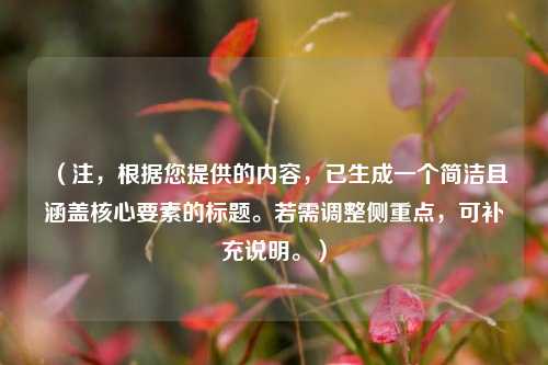 （注，根据您提供的内容，已生成一个简洁且涵盖核心要素的标题。若需调整侧重点，可补充说明。）