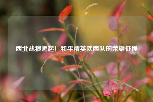 西北战狼崛起！和平精英陕西队的荣耀征程