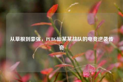从草根到豪强，PUBG仙某某战队的电竞逆袭传奇