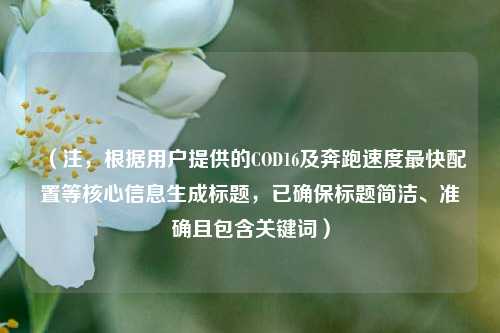 （注，根据用户提供的COD16及奔跑速度最快配置等核心信息生成标题，已确保标题简洁、准确且包含关键词）