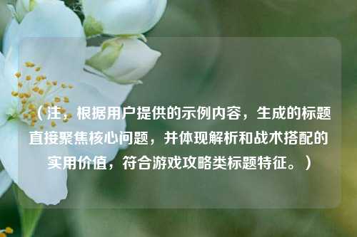 （注，根据用户提供的示例内容，生成的标题直接聚焦核心问题，并体现解析和战术搭配的实用价值，符合游戏攻略类标题特征。）