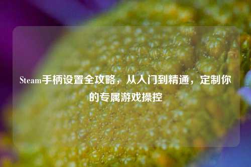 Steam手柄设置全攻略，从入门到精通，定制你的专属游戏操控