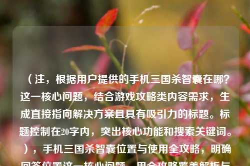 （注，根据用户提供的手机三国杀智囊在哪？这一核心问题，结合游戏攻略类内容需求，生成直接指向解决方案且具有吸引力的标题。标题控制在20字内，突出核心功能和搜索关键词。），手机三国杀智囊位置与使用全攻略，明确回答位置这一核心问题，用全攻略覆盖解析与技巧内容，符合SEO优化且简洁有力。）