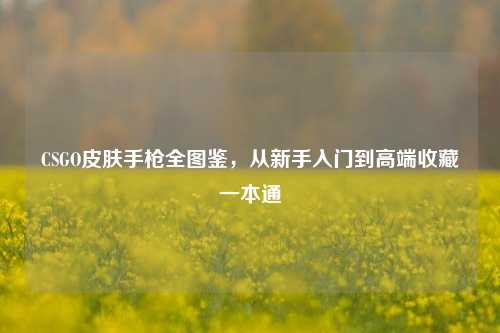 CSGO皮肤手枪全图鉴，从新手入门到高端收藏一本通