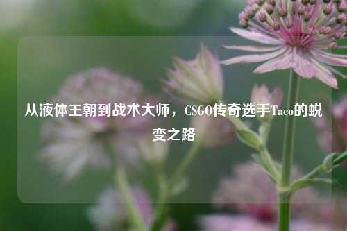 从液体王朝到战术***，CSGO传奇选手Taco的蜕变之路