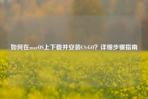 如何在macOS上下载并安装CS:GO？详细步骤指南