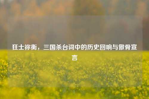 狂士祢衡，三国杀台词中的历史回响与傲骨宣言