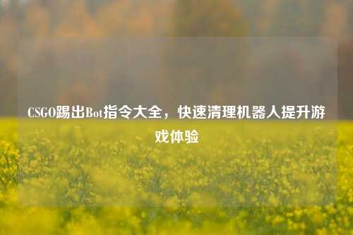 CSGO踢出Bot指令大全，快速清理机器人提升游戏体验