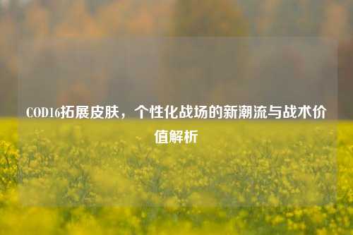COD16拓展皮肤，个性化战场的新潮流与战术价值解析