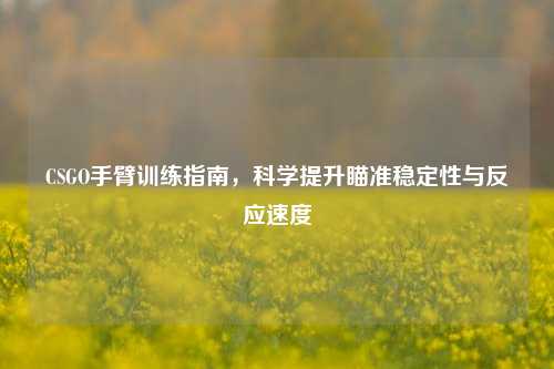CSGO手臂训练指南，科学提升瞄准稳定性与反应速度