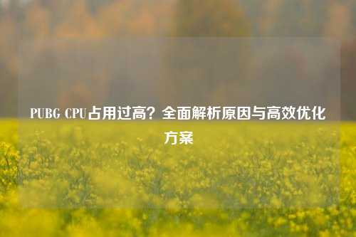 PUBG CPU占用过高?全面解析原因与高效优化方案