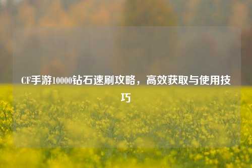 CF手游10000钻石速刷攻略，高效获取与使用技巧