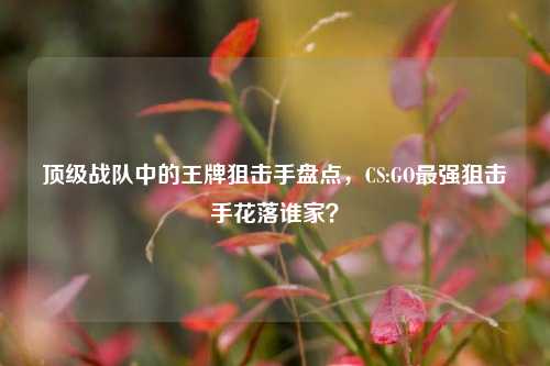 顶级战队中的王牌狙击手盘点，CS:GO最强狙击手花落谁家？