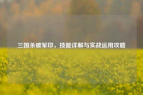 三国杀破军印，技能详解与实战运用攻略