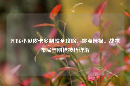 PUBG小贝皮卡多制霸全攻略，跳点选择、战术布局与刚枪技巧详解