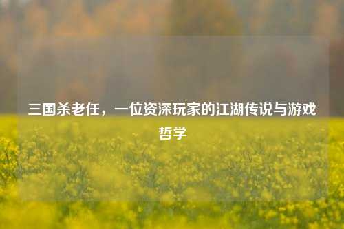 三国杀老任，一位资深玩家的江湖传说与游戏哲学