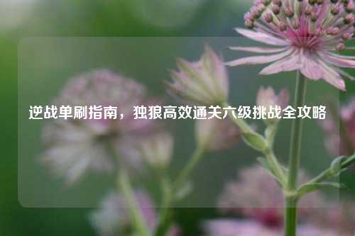 逆战单刷指南，独狼高效通关六级挑战全攻略