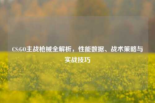 CS:GO主战枪械全解析，性能数据、战术策略与实战技巧