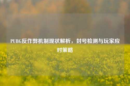 PUBG反作弊机制现状解析，封号检测与玩家应对策略