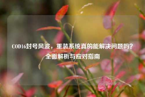 COD16封号风波，重装系统真的能解决问题吗？全面解析与应对指南