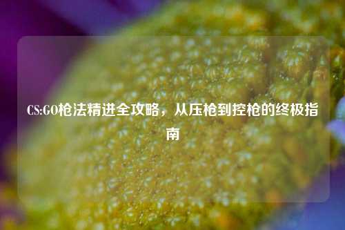 CS:GO枪法精进全攻略，从压枪到控枪的终极指南