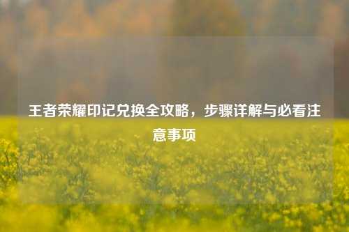 王者荣耀印记兑换全攻略，步骤详解与必看注意事项