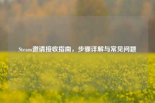 Steam邀请接收指南,步骤详解与常见问题