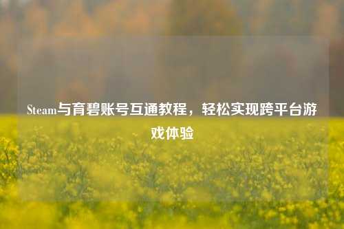 Steam与育碧账号互通教程，轻松实现跨平台游戏体验