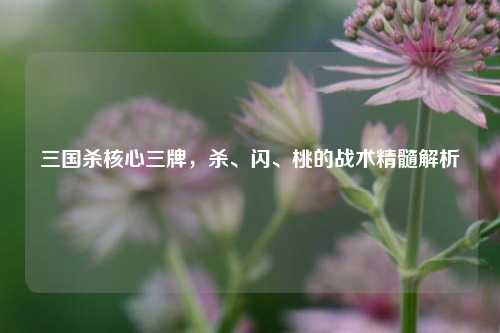 三国杀核心三牌，杀、闪、桃的战术精髓解析
