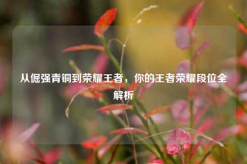 从倔强青铜到荣耀王者，你的王者荣耀段位全解析