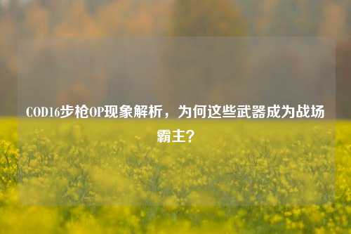 COD16步枪OP现象解析，为何这些武器成为战场霸主？