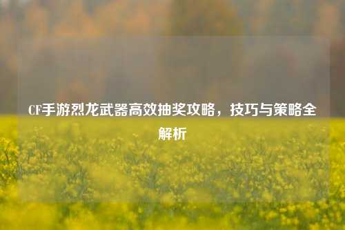 CF手游烈龙武器高效抽奖攻略，技巧与策略全解析
