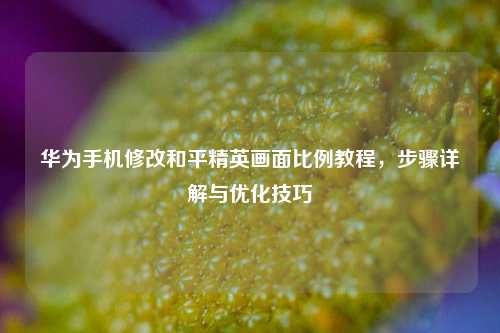 华为手机修改和平精英画面比例教程，步骤详解与优化技巧