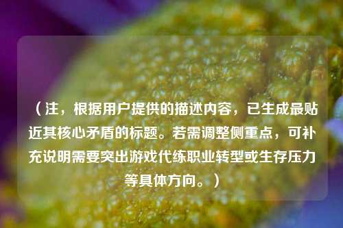 (注,根据用户提供的描述内容,已生成最贴近其核心矛盾的标题。若需调整侧重点,可补充说明需要突出游戏代练职业转型或生存压力等具体方向。)