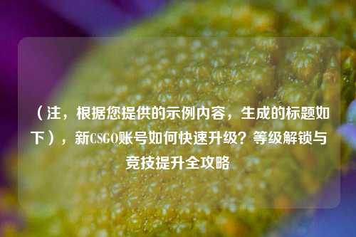 （注，根据您提供的示例内容，生成的标题如下），新CSGO账号如何快速升级？等级解锁与竞技提升全攻略