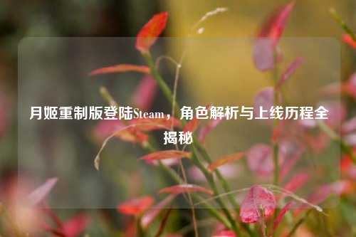 月姬重制版登陆Steam，角色解析与上线历程全揭秘