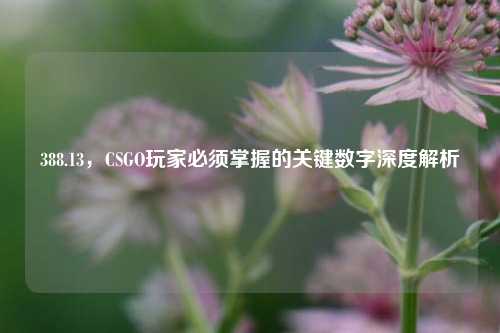 388.13，CSGO玩家必须掌握的关键数字深度解析