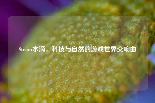 Steam水滴，科技与自然的游戏世界交响曲