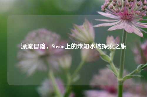漂流冒险，Steam上的未知水域探索之旅