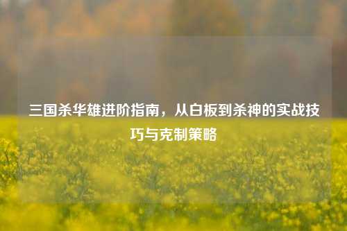 三国杀华雄进阶指南，从白板到杀神的实战技巧与克制策略