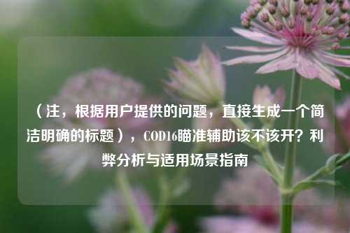 （注，根据用户提供的问题，直接生成一个简洁明确的标题），COD16瞄准辅助该不该开？利弊分析与适用场景指南