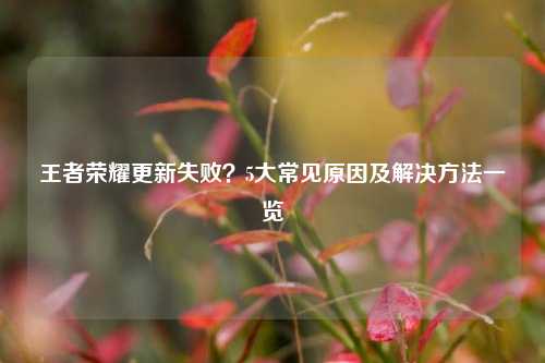 王者荣耀更新失败？5大常见原因及解决 *** 一览