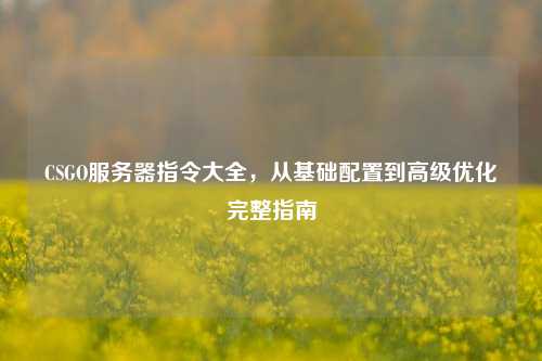 CSGO服务器指令大全，从基础配置到高级优化完整指南