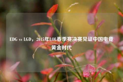 EDG vs LGD,2015年LOL春季赛决赛见证中国电竞黄金时代