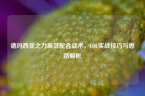 德玛西亚之力高效配合战术，LOL实战技巧与思路解析